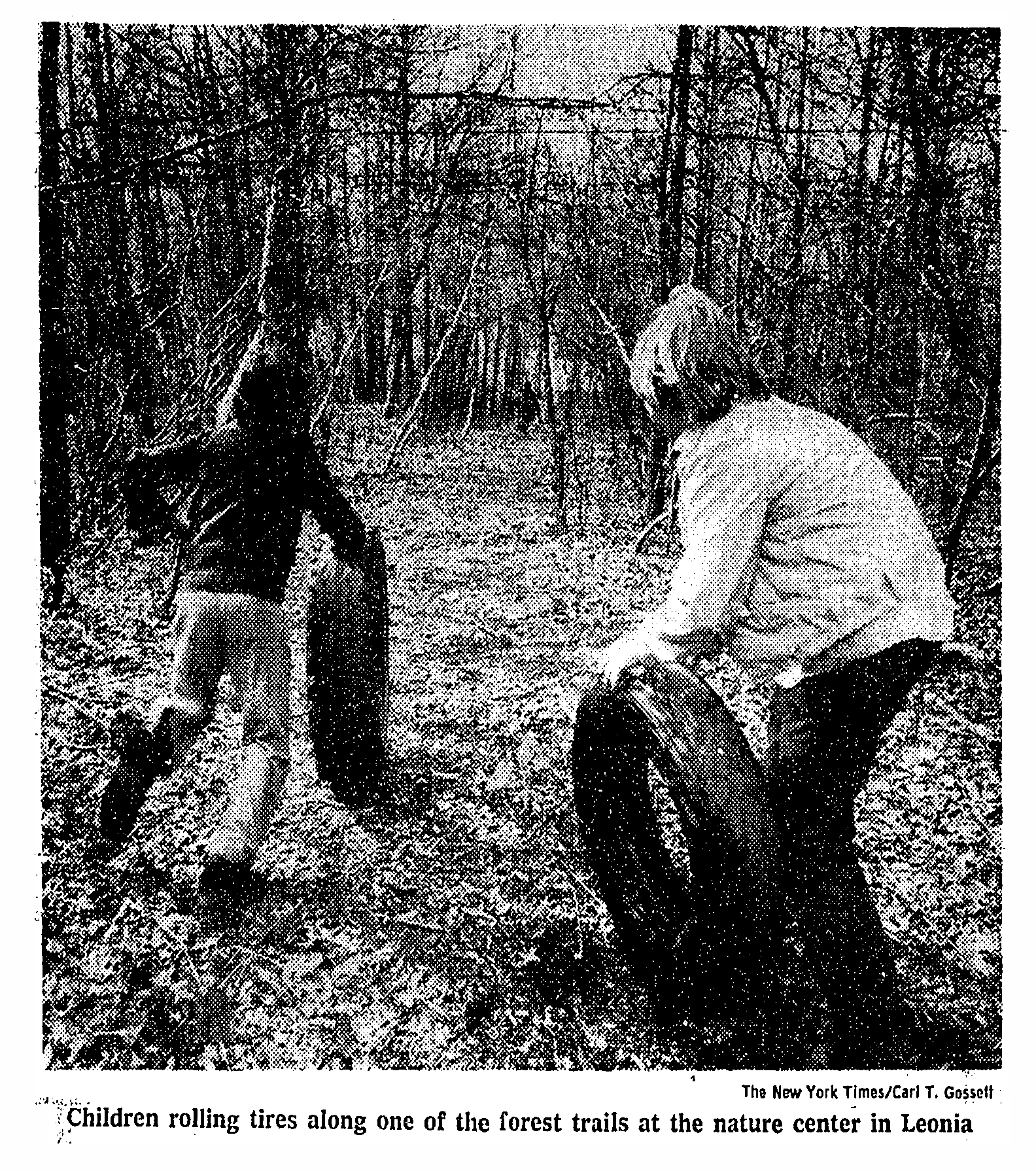 New York Times: Leonia Park Still Disputed